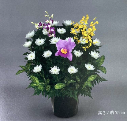 生花 菊花<デジタルメッセージ>