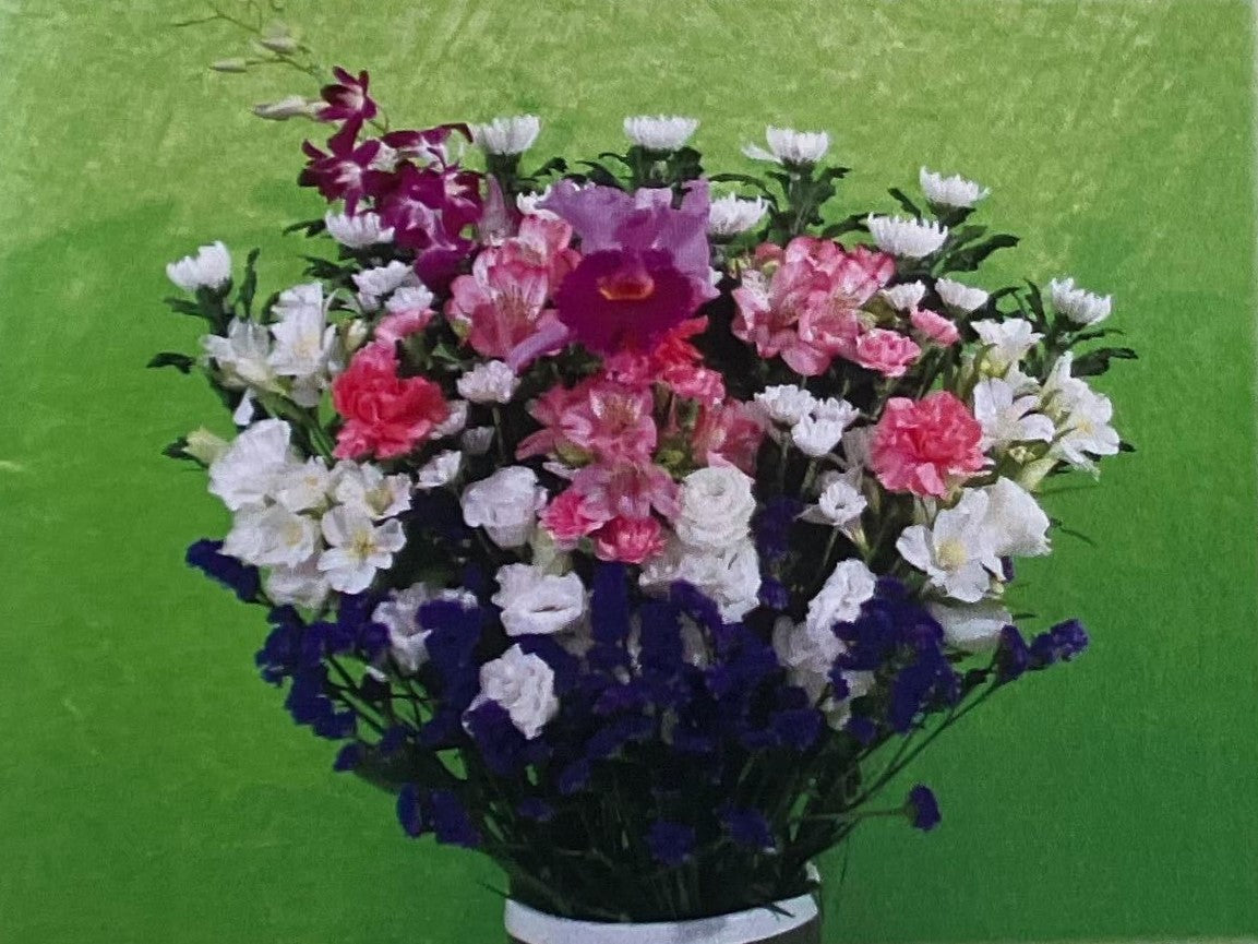 菊洋花<デジタルメッセージを添えることが出来ます>
