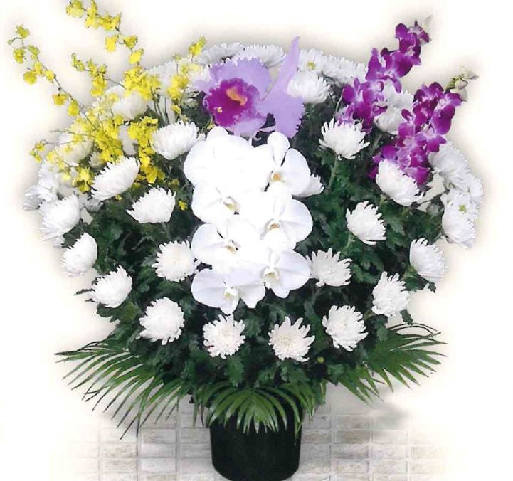 菊生花<デジタルメッセージ>