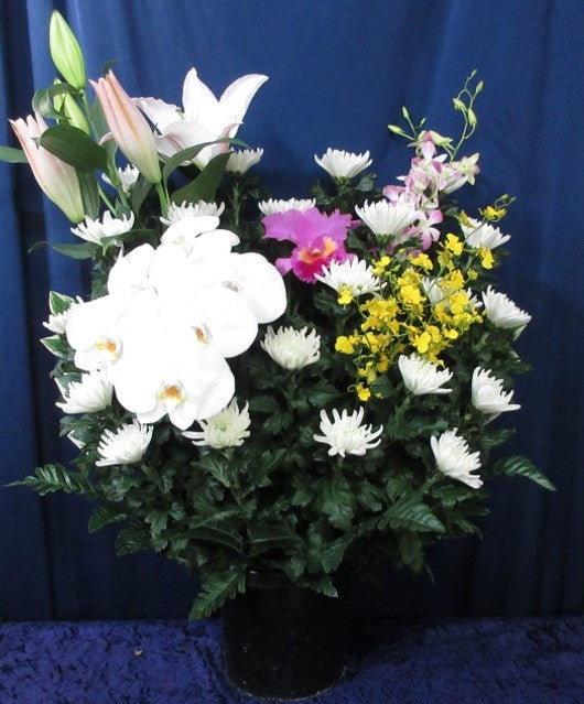 御供花 菊<デジタルメッセージ>