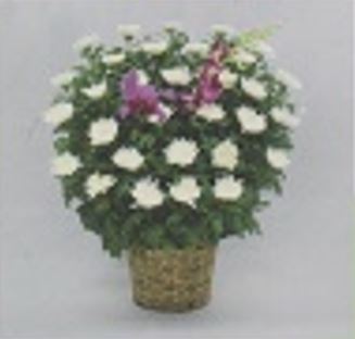 御供花 白菊タイプ<デジタルメッセージ>