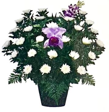 菊花供花