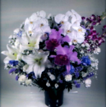 洋花 大