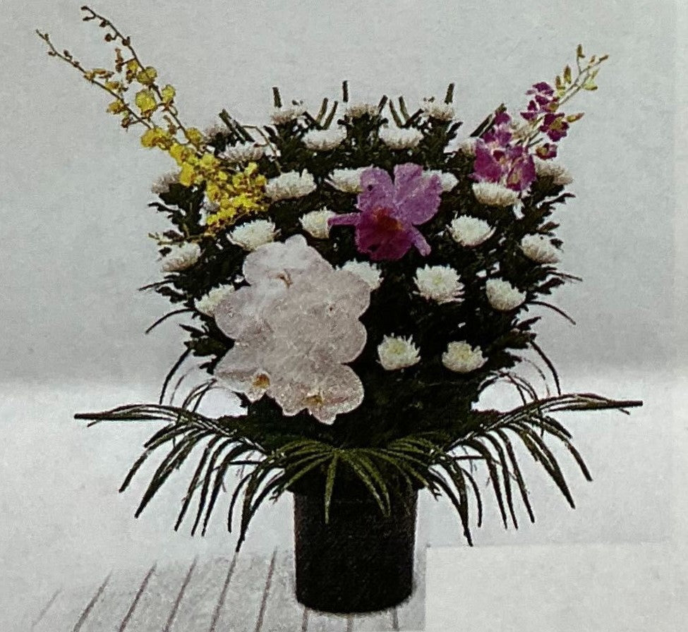 生花 白菊