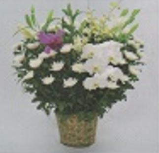 御供花 白菊タイプ<デジタルメッセージ>