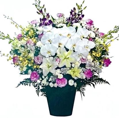 洋花供花