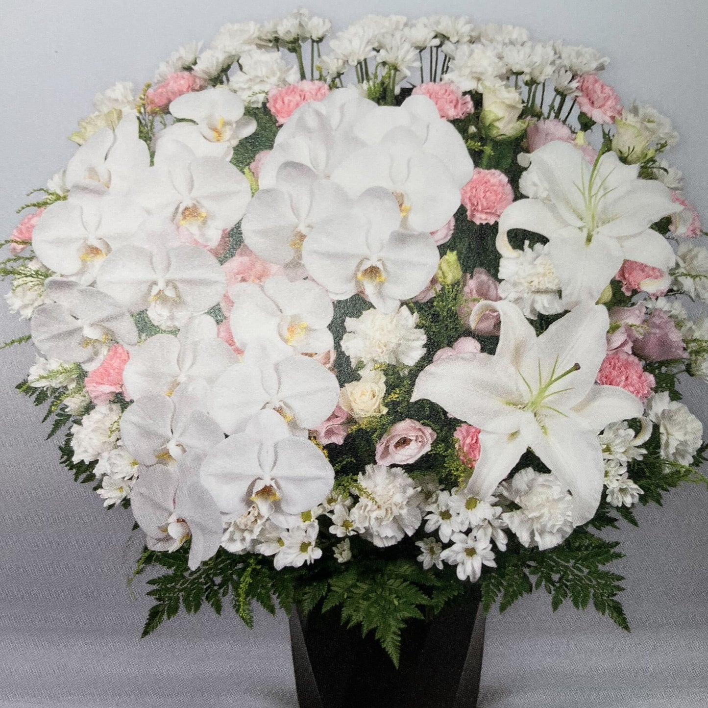 洋花
