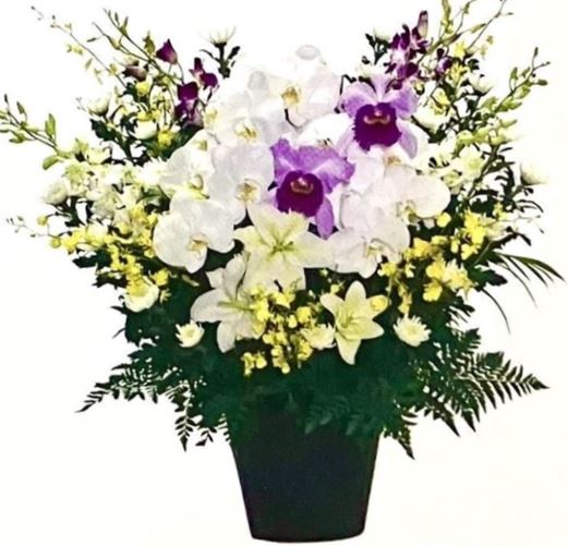 菊花供花