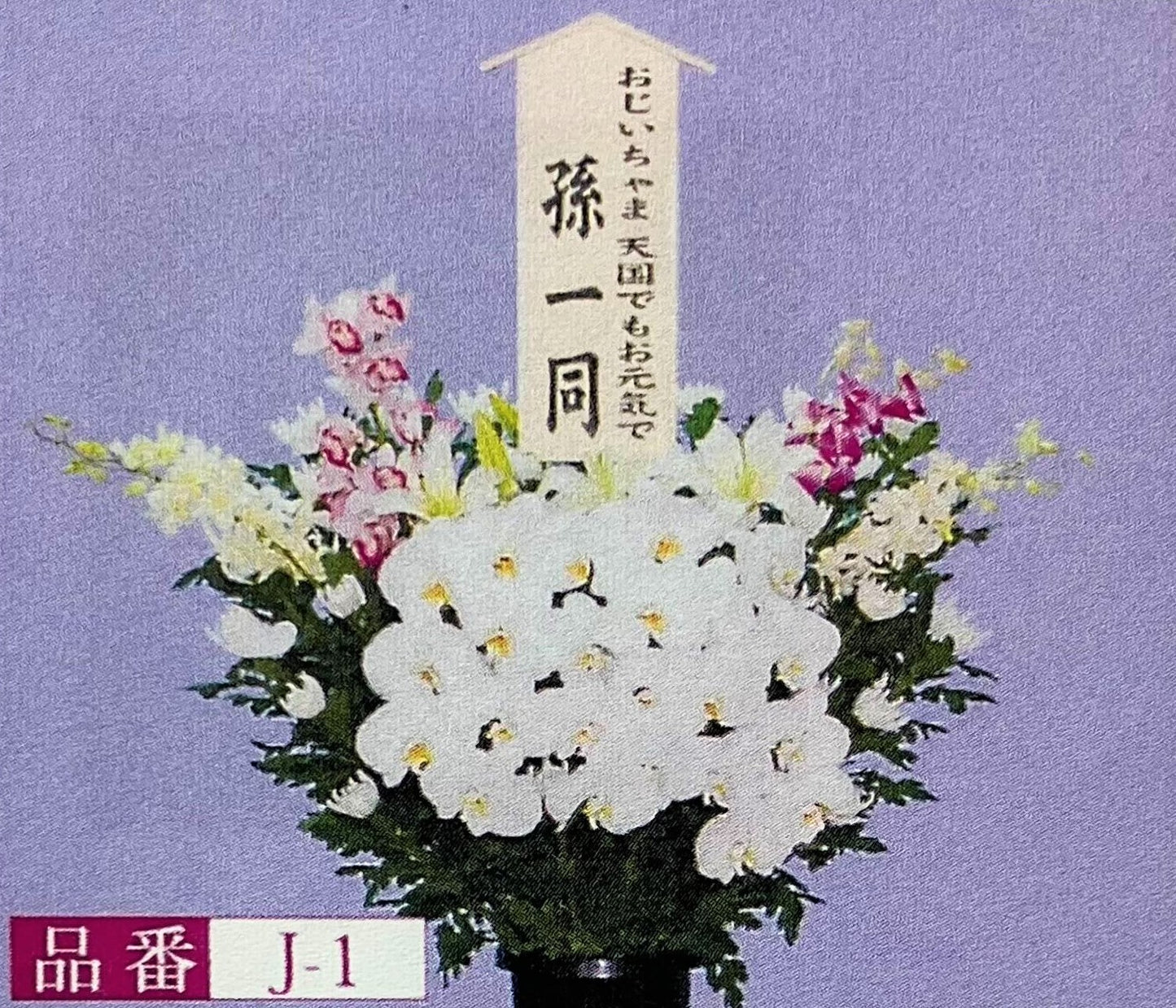 菊 J-1