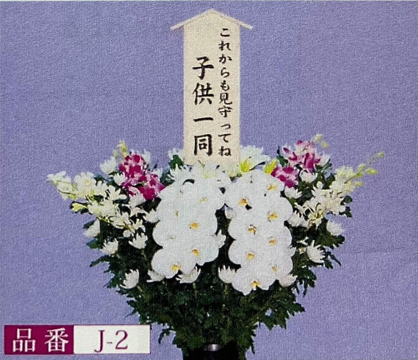 菊 J-2
