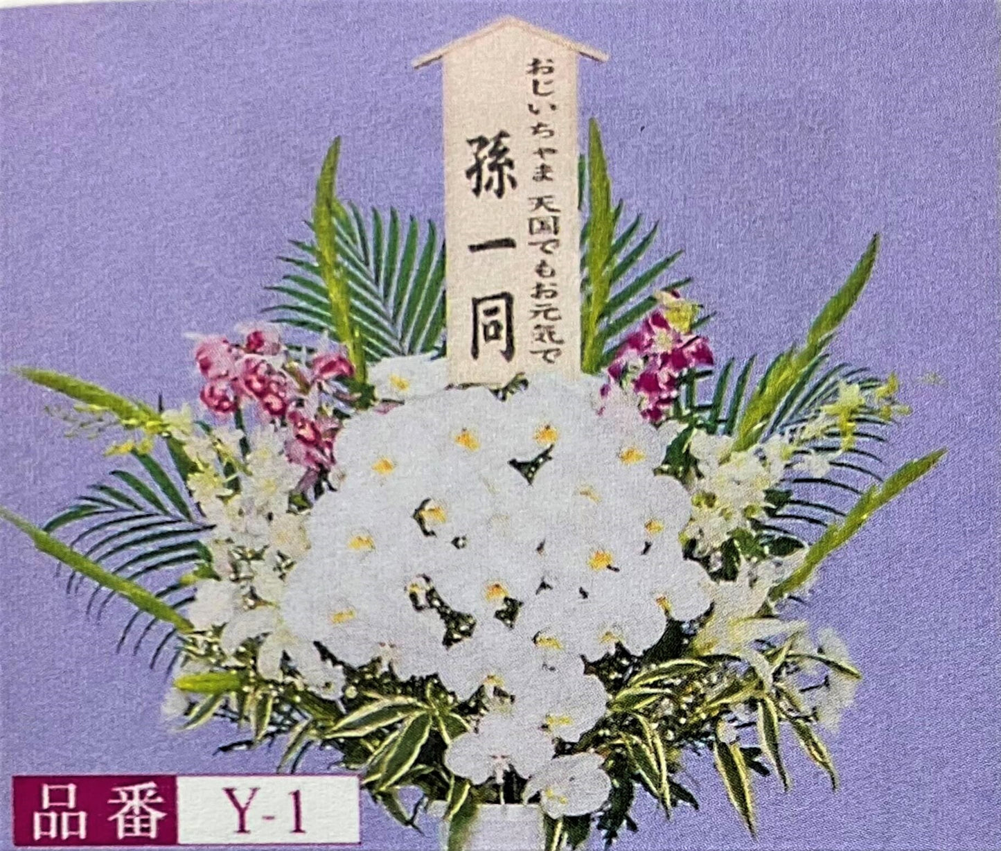 洋花 Y-1
