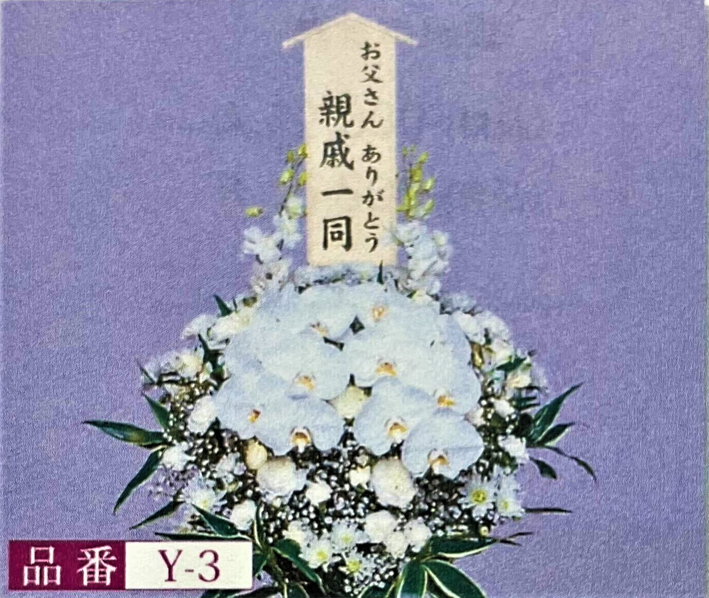 洋花 Y-3