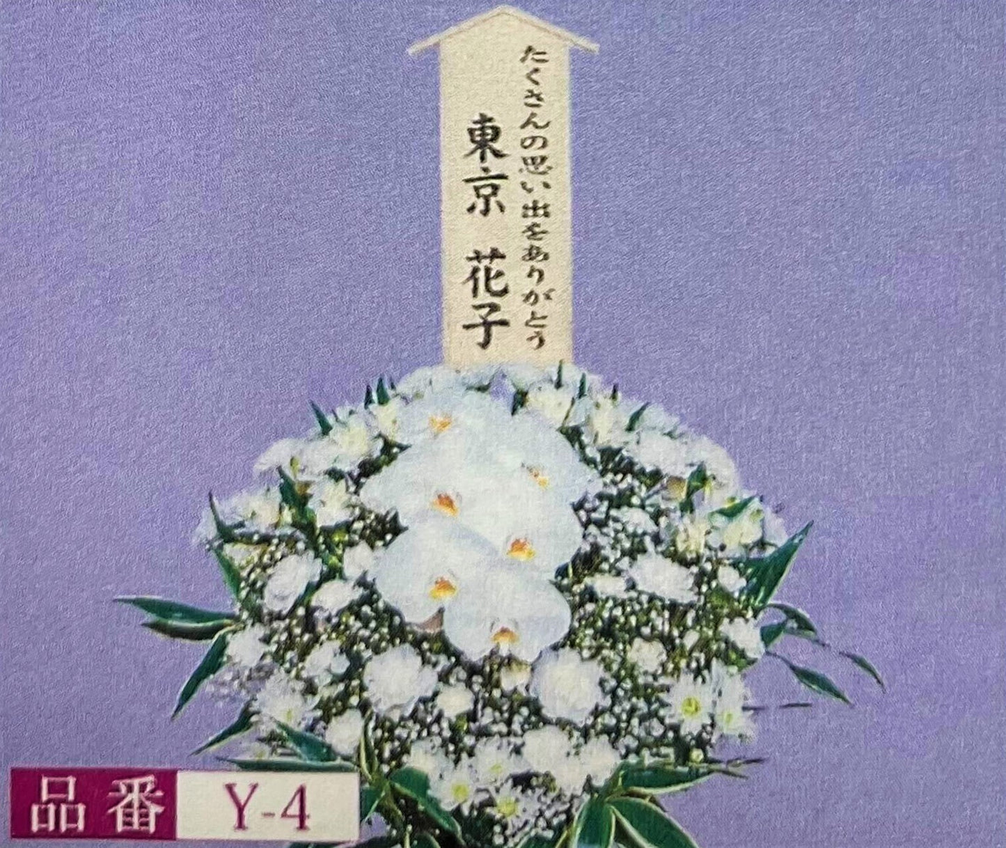 洋花 Y-4