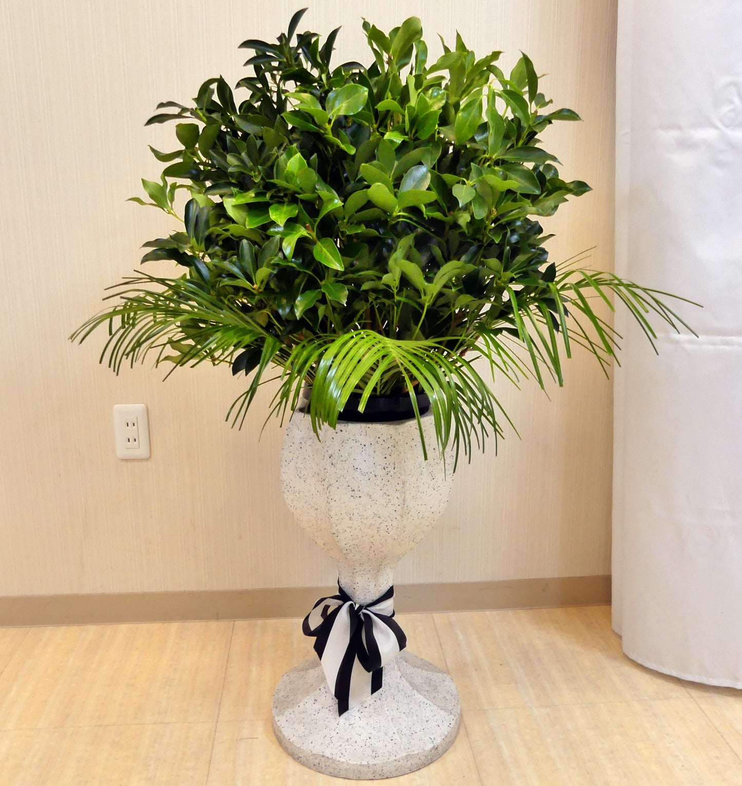 日蓮正宗 樒の生花＜デジタルメッセージを添えることが出来ます＞