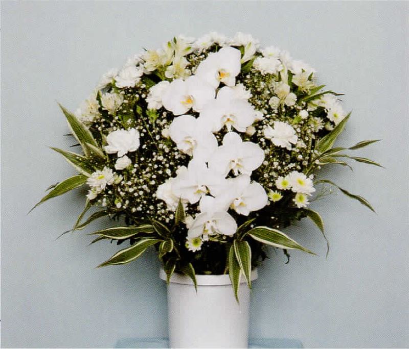 洋風生花（ホワイト）＜デジタルメッセージを添えることが出来ます＞