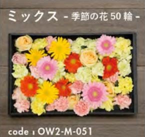 お別れ花 ミックス 季節の花50輪 OW2-M-051＜デジタルメッセージを添えることが出来ます＞