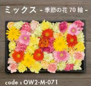 お別れ花 ミックス 季節の花70輪 OW2-M-071＜デジタルメッセージを添えることが出来ます＞