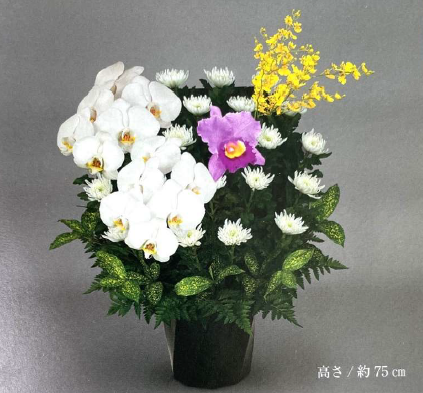 生花　菊花＜デジタルメッセージ＞