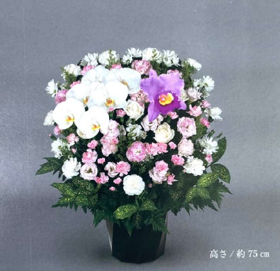 生花　洋花＜デジタルメッセージ＞