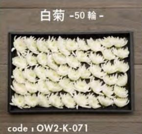 お別れ花 白菊50輪 OW2-K-071＜デジタルメッセージを添えることが出来ます＞