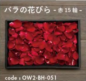 お別れ花 バラの花びら赤15輪 OW2-BH-051＜デジタルメッセージを添えることが出来ます＞