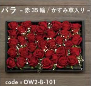 お別れ花 バラ 赤35輪 かすみ草入り OW2-B-101＜デジタルメッセージを添えることが出来ます＞