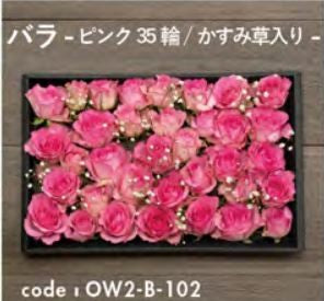 お別れ花 バラ ピンク35輪 かすみ草入り OW2-B-102＜デジタルメッセージを添えることが出来ます＞