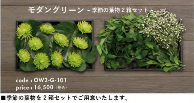 お別れ花 モダングリーン 季節の葉物2箱セット OW2-G-101＜デジタルメッセージを添えることが出来ます＞
