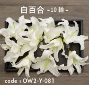 お別れ花 白百合10輪 OW2-Y-081＜デジタルメッセージを添えることが出来ます＞