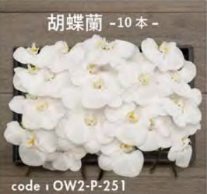 お別れ花 胡蝶蘭10本 OW2-P-251＜デジタルメッセージを添えることが出来ます＞