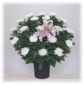 Sサイズ　和花＜デジタルメッセージ＞