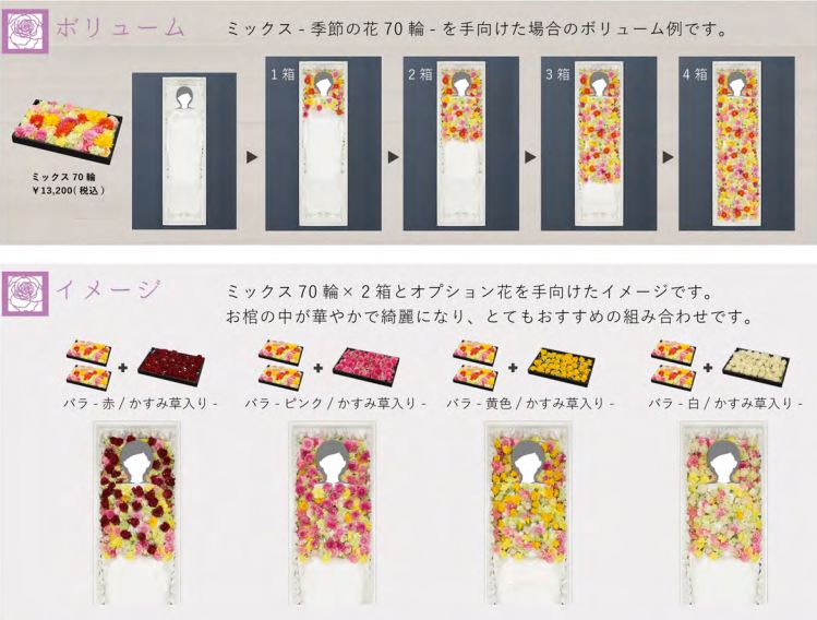 お別れ花 デンファレ ピンク40本 OW2-D-081＜デジタルメッセージを添えることが出来ます＞