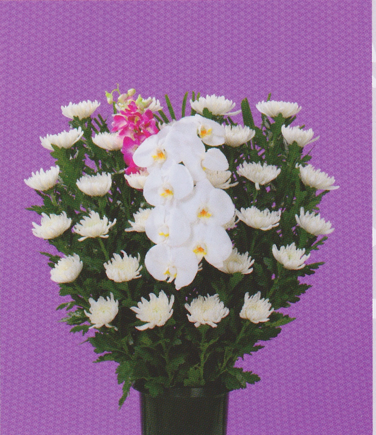 供花　和花＜デジタルメッセージ＞