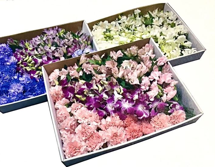 お別れ花 1盆（ホワイト）＜デジタルメッセージ＞