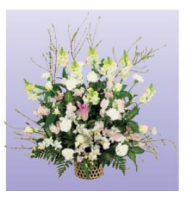 枕花15
