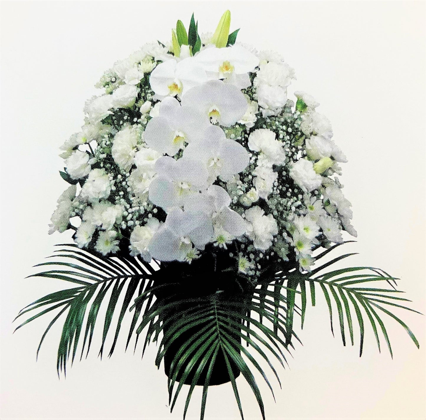 洋花供花（ホワイト）＜デジタルメッセージ＞