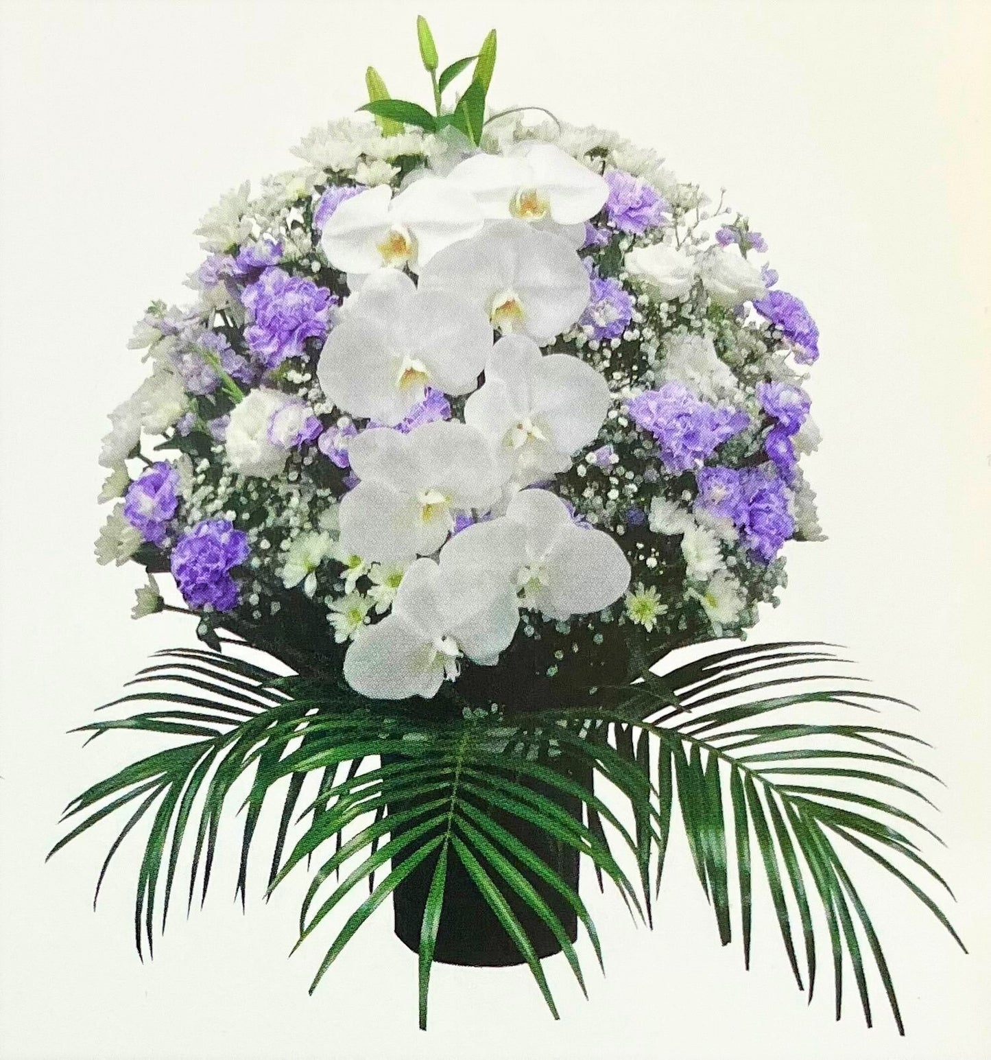 洋花供花（ムラサキ）＜デジタルメッセージ＞
