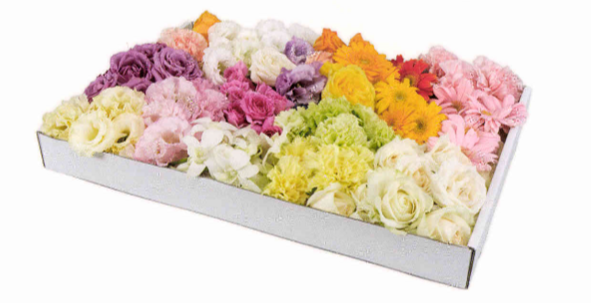お別れ花＜デジタルメッセージ＞