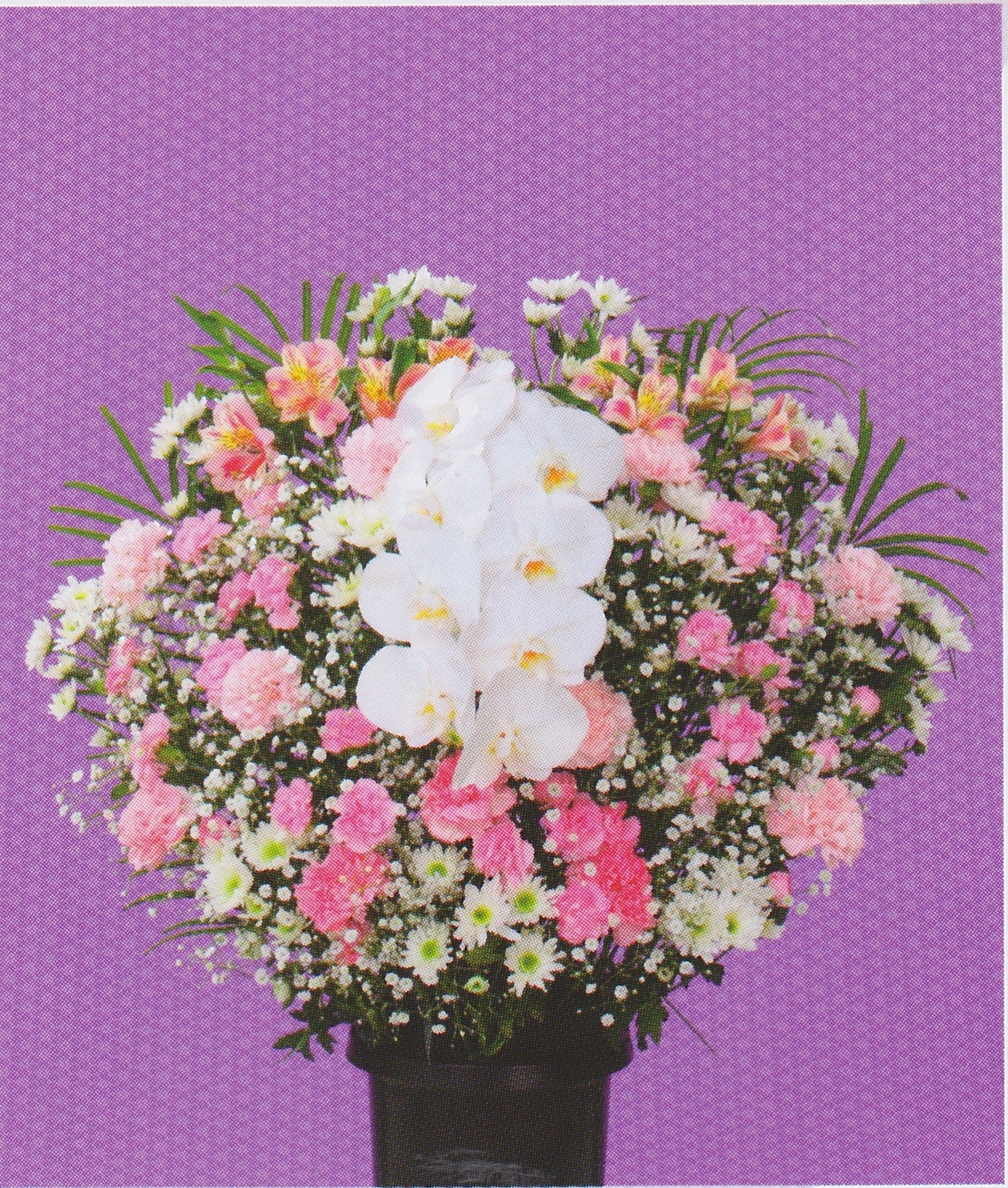 供花　洋花＜デジタルメッセージ＞