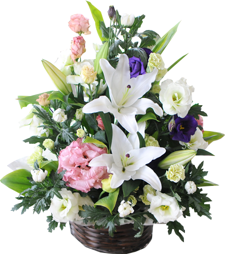 枕花＜デジタルメッセージ＞
