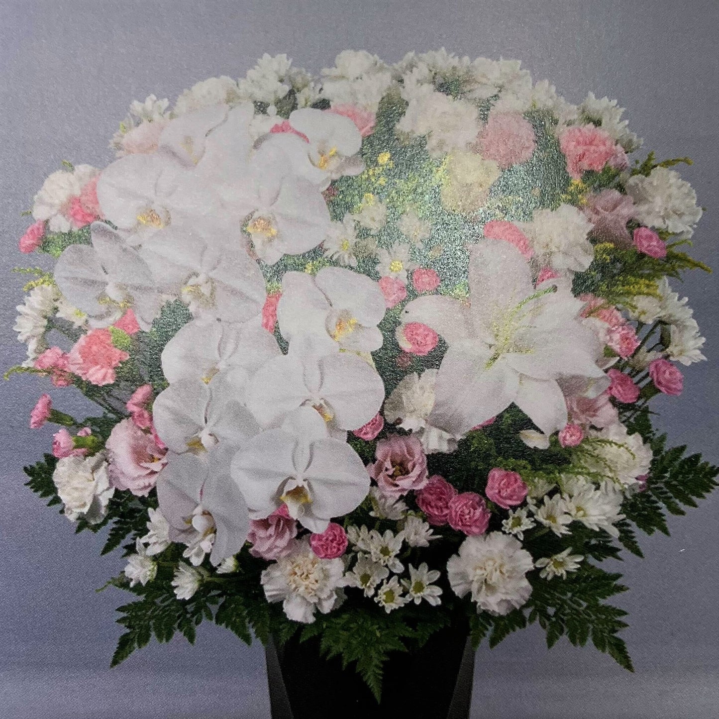 洋花