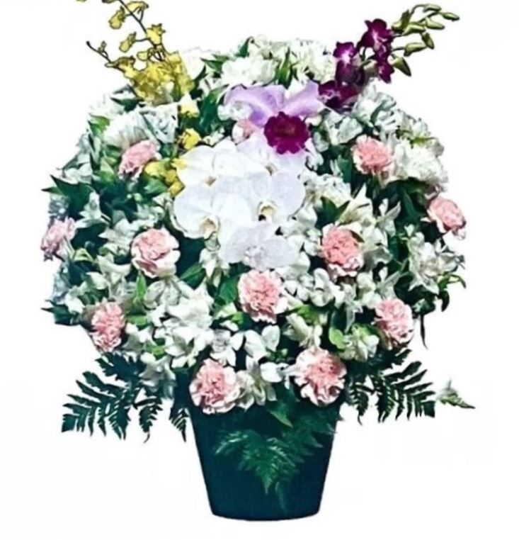 洋花供花