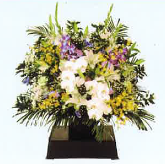 枕花(1基)