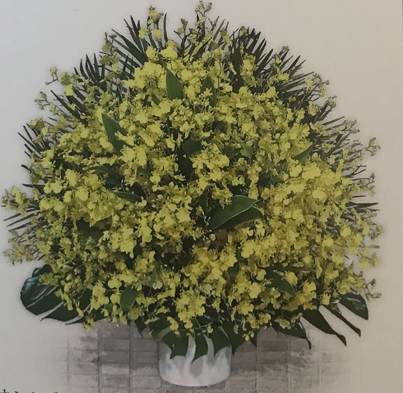 オンシジューム生花＜デジタルメッセージ＞