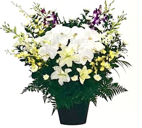 菊花供花