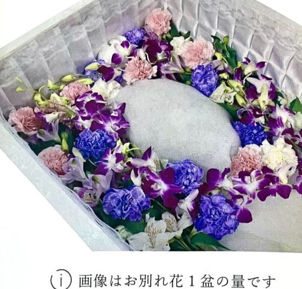 お別れ花 1盆（ピンク）＜デジタルメッセージ＞
