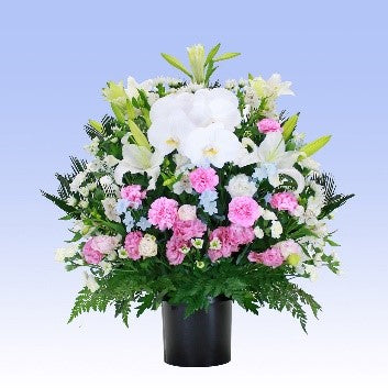 洋花供花②＜デジタルメッセージ＞