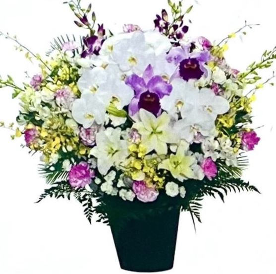 洋花供花