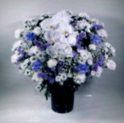 洋花　小