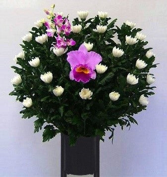 菊供花＜デジタルメッセージ＞
